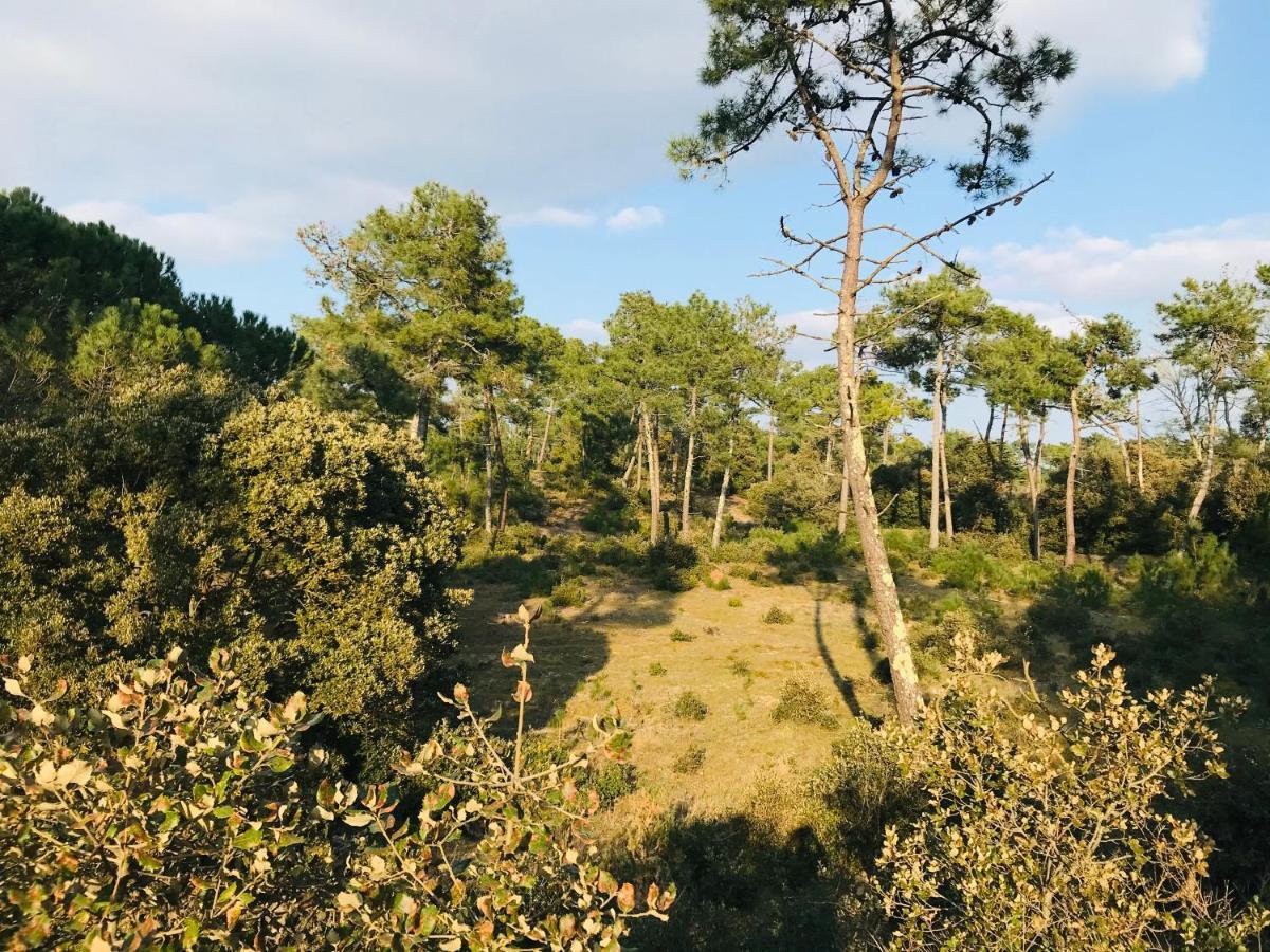 180° Vue Ocean, T3 Marin Haut De Gamme Saint-Jean-de-Monts Eksteriør bilde